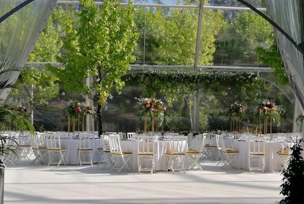 Hotel Termas Da Curia Eksteriør billede
